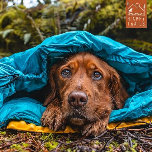 Dog Sleeping Pad—Ultralight Foldable Closed Cell Foam Dog Sleeping Pad—Ultimate for Camping, Backpacking, Hiking—Outdoor Dog Bed—Compact & Lightweight Dog Sleeping Mat (Large) in Saudi Arabia