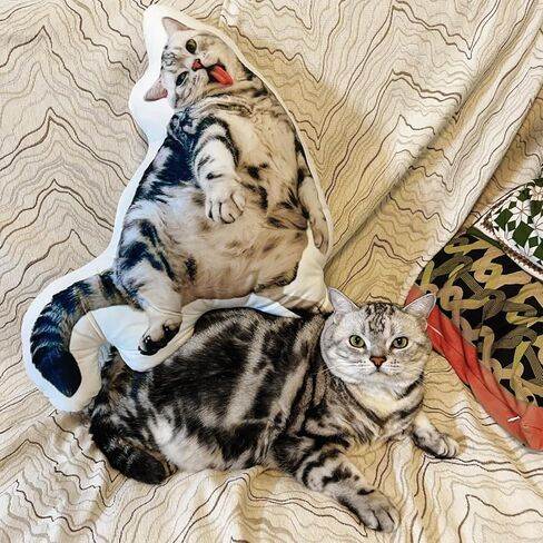 Custom Cat Pillow, Custom Pet Pillow, Personalized Picture Pillow, Pillow Using Pet Photo (The Longest Side: 3.93 in) in Saudi Arabia