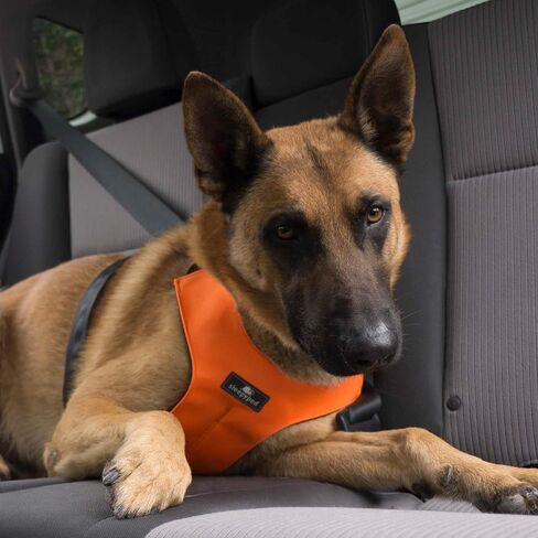 Clickit Sport Plus - Crash-Tested and Safety Certified Car Seat Belt Harness for Dogs (Extra Large, Orange Dream) in Kuwait