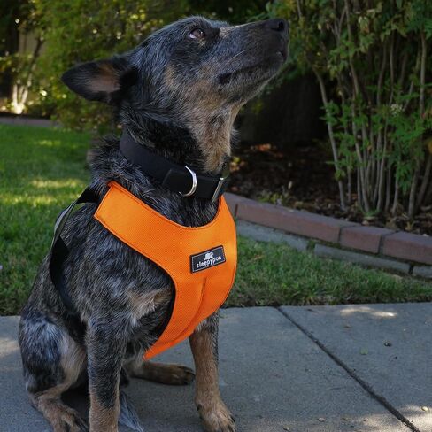 Clickit Sport Plus - Crash-Tested and Safety Certified Car Seat Belt Harness for Dogs (Extra Large, Orange Dream) in Kuwait