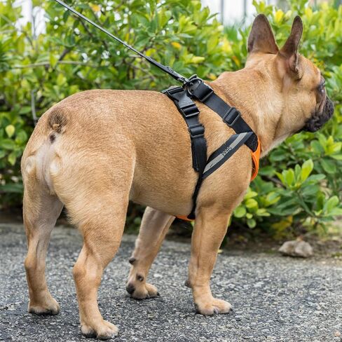 Clickit Sport Plus - Crash-Tested and Safety Certified Car Seat Belt Harness for Dogs (Extra Large, Orange Dream) in Kuwait