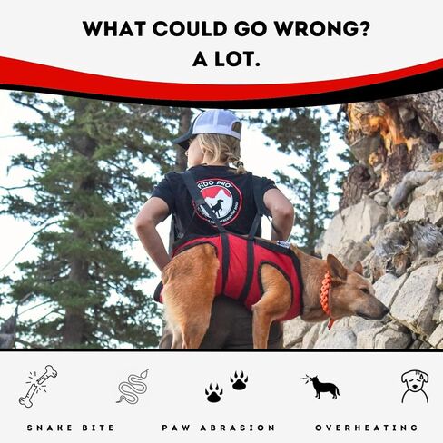 Fido Pro Panza Harness V2 with Deployable Emergency Rescue Sling - Medium to X-Large Dog Harness with Pockets, Climbing Buckles, Lifting Handle - Hiking Gear - Fits 30-150 lbs (Red) in Kuwait