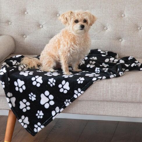 Pet Dog Cat بطانية Ultra Soft Fleece Fleece Paw Print Machine قابلة للغسل لدقة صناديق أسرة السفر (Symphony Purple Paw ، كبير) in Saudi Arabia