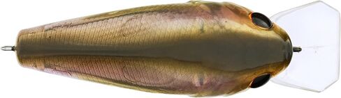 Berkley SquareBull Fishing Hard Bait, Ghost Morning Dawn, 2in - 1/4 oz in Saudi Arabia