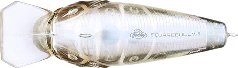 Berkley SquareBull Fishing Hard Bait, Ghost Morning Dawn, 2in - 1/4 oz in Saudi Arabia