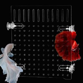 PINVNBY 10 Gallon Fish Tank Divider, Acrylic Aquarium Divider with 8 PCS Suction Cups, Transparent Fish Tank Separator for Betta Fish (Size: 30 x 25 cm/11.81 x 9.84 in)