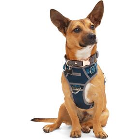 Reddy Canvas Dog Harness Navy X-Large/XX-Large