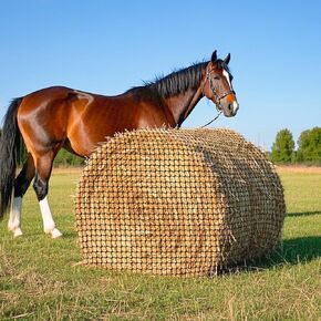 5 × 5 قدم جولة Bale Hay Net ، آلة تغذية بطيئة التغذية بطيئة مربعة تعزز الهضم الصحي ، حقيبة Bale في الهواء الطلق ، Nylon Knotless Hay Net Fits للخيول والأغنام والأبقار والمزيد من الماشية