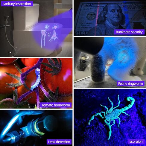 DARKBEAM UV Flashlight 365 nm Light Blacklight, Mini Powerful Wood’s Lamp USB-C Rechargeable, LED 10W Ultraviolet Flashlights Pocket Pet Urine Detector for Mineral, Uranium Glass, Resin Curing in Kuwait