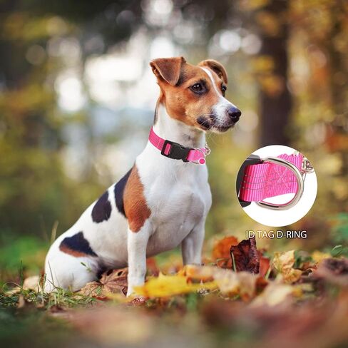 Martingale Dog Collar with Quick Release Buckle Steel Chain No Pull Training Reflective Collar for Medium Large Dogs(Pink, Medium) in Saudi Arabia