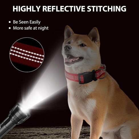 طوق الكلاب مارتينغالي مع سلسلة الصلب الإبزيم السريع in Kuwait