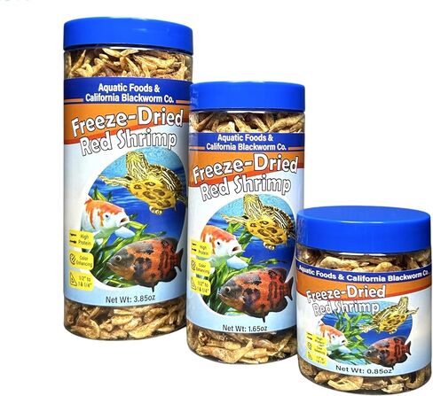 Red Foods Inc. Red Redrims ، تجميد التجميد 1/2 "إلى 1 و 1/4" الروبيان النهر الأحمر العائم من أجل cichlids ، جميع الأسماك الاستوائية ، أسماك Koi & Pond ، السلاحف المائية ، الزواحف ، القوارض 1 أوقية العلبة in Saudi Arabia
