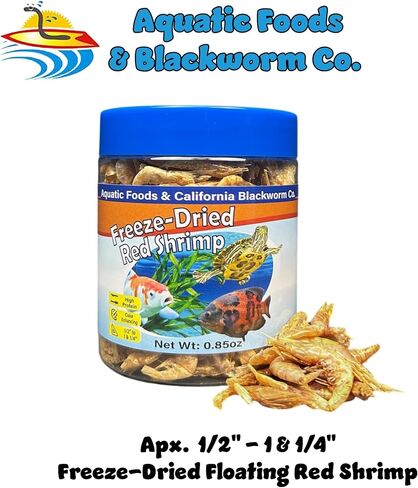 Aquatic Foods Inc. Red Shrimp, Freeze Dried 1/2" to 1 & 1/4" Floating Red River Shrimp for Cichlids, All Tropical Fish, Koi & Pond Fish, Aquatic Turtles, Reptiles, Rodents 1oz Canister in Saudi Arabia