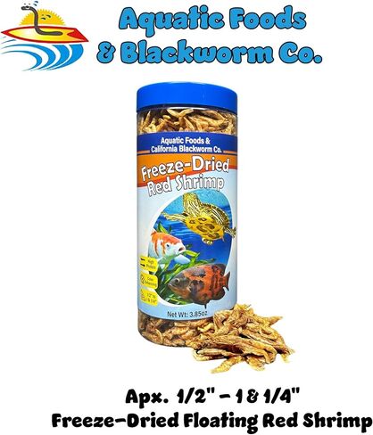 Aquatic Foods Inc. Red Shrimp, Freeze Dried 1/2" to 1 & 1/4" Floating Red River Shrimp for Cichlids, All Tropical Fish, Koi & Pond Fish, Aquatic Turtles, Reptiles, Rodents 1oz Canister in Saudi Arabia