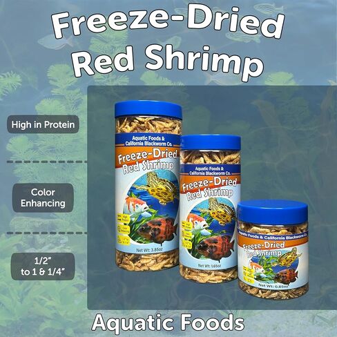 Red Foods Inc. Red Redrims ، تجميد التجميد 1/2 "إلى 1 و 1/4" الروبيان النهر الأحمر العائم من أجل cichlids ، جميع الأسماك الاستوائية ، أسماك Koi & Pond ، السلاحف المائية ، الزواحف ، القوارض 1 أوقية العلبة in Saudi Arabia