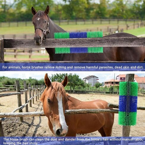 Livestock Scratching Brush,Horse Brushes for Grooming,Itch Relief Horse Scratcher Brushes Kit with Two Sets of Mounting Screws for Goat Cattle Cow Sheep Pig,1 Pack in Saudi Arabia