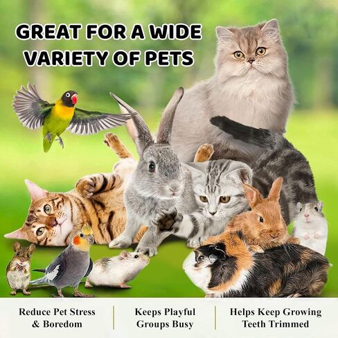 SunGrow Assorted Rabbit & Cat Chew Balls, Teething Activity Toy for Pocket Pets, Improves Dental Health, Environment Friendly, Stress Reliever (Assorted, 3 Pcs) in Saudi Arabia