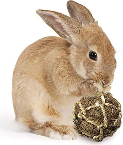 SunGrow Assorted Rabbit & Cat Chew Balls, Teething Activity Toy for Pocket Pets, Improves Dental Health, Environment Friendly, Stress Reliever (Assorted, 3 Pcs) in Saudi Arabia
