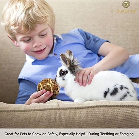 SunGrow Assorted Rabbit & Cat Chew Balls, Teething Activity Toy for Pocket Pets, Improves Dental Health, Environment Friendly, Stress Reliever (Assorted, 3 Pcs) in Saudi Arabia