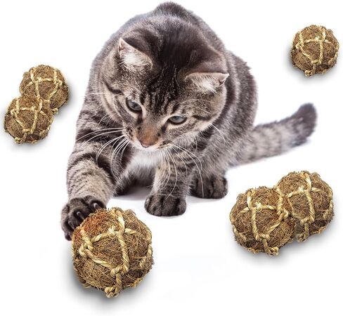 SunGrow Assorted Rabbit & Cat Chew Balls, Teething Activity Toy for Pocket Pets, Improves Dental Health, Environment Friendly, Stress Reliever (Assorted, 3 Pcs) in Saudi Arabia