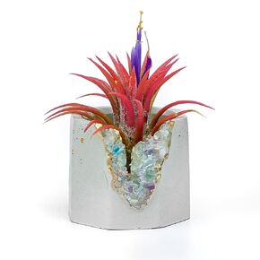 Geode Planter | Unique Air Plant Holder | Fluorite Crystal Planter | Mini Succulent Pot | Purple and Gold Small Cactus Pot | Healing Crystals Candle Holder |