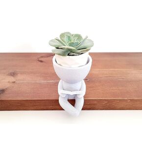 People Decorative container in which plants are grown (Marble, Reading)
