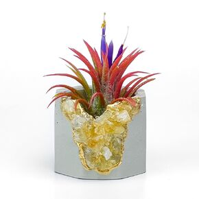 Geode Planter | Unique Air Plant Holder | Raw Citrine Crystal Planter | Mini Succulent Pot | Concrete Plant Pot | Healing Crystals Candle Holder