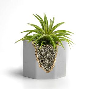 Pyrite Geode Planter, Air Plant Holder, Fool's Gold Crystal Planter, Succulent Pot