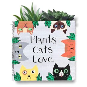 Cat Planter, Wood Succulent Box, Gift for Cat and Plant Lovers (6 square inches)