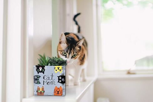 Cat Mom Planter,Whitewashed Wood Garden Box or Decorative Bin (5 inch square) in Kuwait