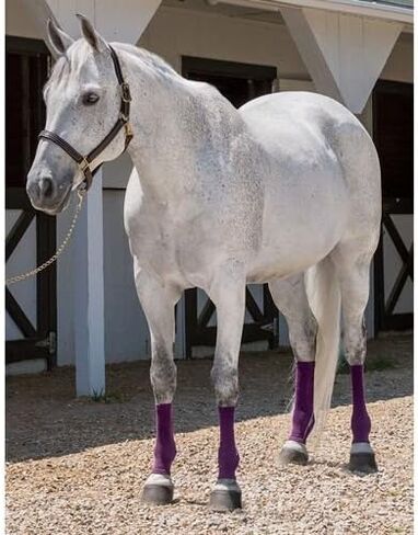 Dover Saddlery Equi Flexsleeves for Horses, Front, Medium, Black, Pair in Saudi Arabia