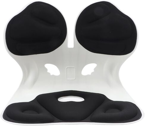 Ergonomic Lumbar Support, Breathable Soft Multipurpose Lumbar Support Chair for Floor Seat for Car (Black) in Saudi Arabia