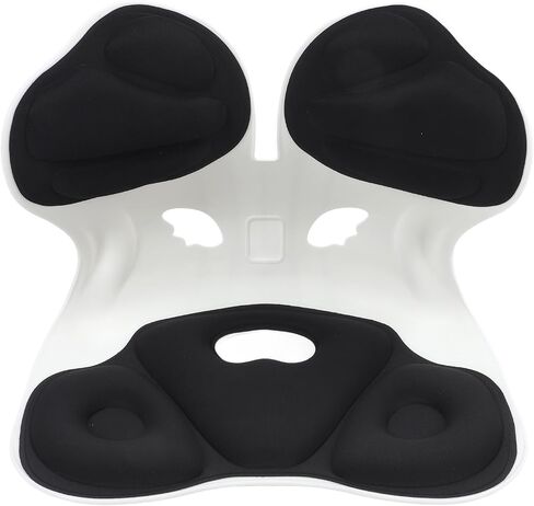 Ergonomic Lumbar Support, Breathable Soft Multipurpose Lumbar Support Chair for Floor Seat for Car (Black) in Saudi Arabia