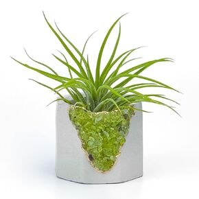 Geode Planter, Unique Air Plant Holder, Green Peridot Crystal Planter, Mini Succulent Pot, Purple and Gold Small Cactus Pot, Healing Crystals Candle Holder, Reiki Gift