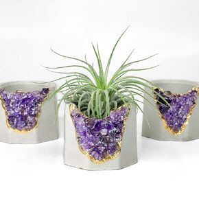 Raw Amethyst Geode Planter - Reiki Air Plant Holder - Chakra Succulent Crystal Planter - Airplant Display Small Gemstone Succulent Pot Purple Concrete Cactus Pot Cute Mini Candle Holder Air Fern Vase