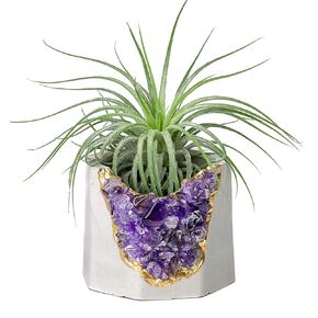 Geode Planter | Unique Air Plant Holder | Raw Amethyst Crystal Planter | Mini Succulent Pot | Purple and Gold Small Cactus Pot | Healing Crystals Candle Holder |