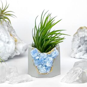 Geode Planter | Unique Air Plant Holder | Blue Calcite Crystal Planter | Mini Succulent Pot | Purple and Gold Small Cactus Pot | Healing Crystals Candle Holder |