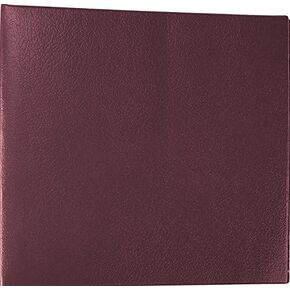 CheckMinder Vinyl Cover for Executive Deskbook (Blue) ، 9 1/2 "× 9 3/4" in Kuwait