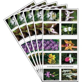 Wild Orchids 5 Books of 20 USPS Postal First Class Forever US Postage Stamps Birthday Wedding Celebration Engagement Anniversary Bridal Shower