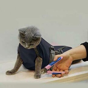 CINF CAT CAT DILIPTING CLIPATING GROOMING REDITINT BAS لا يوجد خدش لعضل للاستحمام في فحص الأظافر عن حقن (Blue ، M) in Kuwait