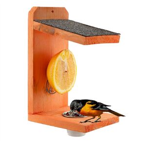 Oriole Bird Feeder, 2-Way Feeder for Jelly and Oranges, Handmade in Kentucky