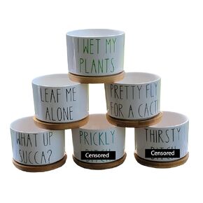 Funny Succulent Pots, Small Plant Pot With Bamboo Tray, Cute Cactus Planter, Punny Succulent Pots, White Ceramic Pot (Black Text)
