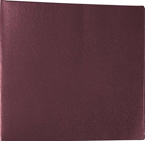 CheckMinder Vinyl Cover for Executive Deskbook (Blue) ، 9 1/2 "× 9 3/4" in Kuwait