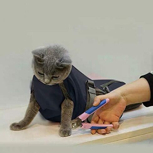 CINF CAT CAT DILIPTING CLIPATING GROOMING REDITINT BAS لا يوجد خدش لعضل للاستحمام في فحص الأظافر عن حقن (Blue ، M) in Kuwait