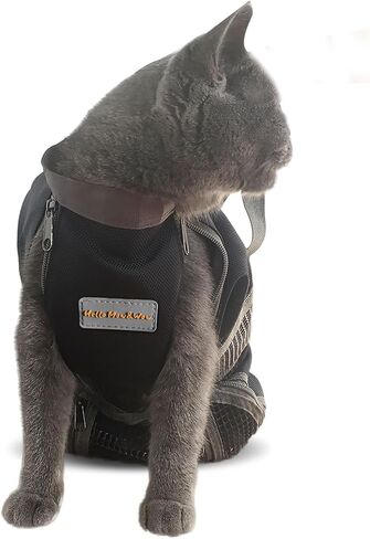 CINF CAT CAT DILIPTING CLIPATING GROOMING REDITINT BAS لا يوجد خدش لعضل للاستحمام في فحص الأظافر عن حقن (Blue ، M) in Kuwait