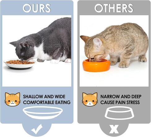 Ceramic Cat Bowls,Cat Feeding Bowls with Non Slip Mats,Pet Bowl Cat Dishes for Food and Water,Wide Shallow Cat Bowl Whisker Friendly,3 Pack (White) in Kuwait