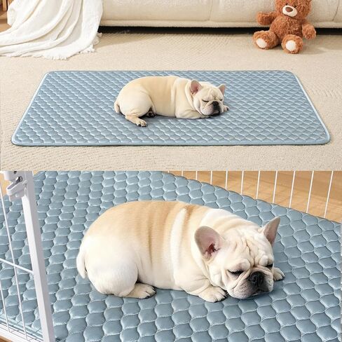 وسادة قفص الكلب للأقفاص الكلب الهادئة tricot pad pad pad anti slip led led for cates قابلة للغسل كلها أسرة الحيوانات الأليفة الأسود 24 × 18 × 0.2 بوصة in Kuwait