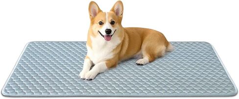 وسادة قفص الكلب للأقفاص الكلب الهادئة tricot pad pad pad anti slip led led for cates قابلة للغسل كلها أسرة الحيوانات الأليفة الأسود 24 × 18 × 0.2 بوصة in Kuwait