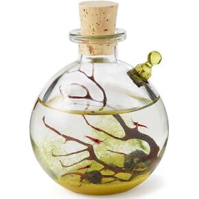 Self-Sustaining Ecosystem