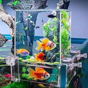 Okllen Negative Pressure Fish Tank Acrylic, Auto-Refill Hanging Aquarium with Fish Elevator, Water Level Maintenance & 360° View, Space-Saving External Suspended Tank for Betta/Guppy